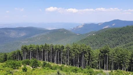 Kamuya ait alanlar yerli ve yabancı sermayedarlara tahsis edilecek: Ormanlara 5 yıldızlı otel yapılacak