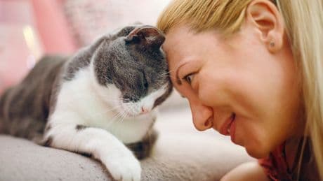 AI research exploring how humans could speak with pets – and what could go wrong
