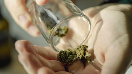 Cannabis im Alter: Darum greifen plötzlich so viele Ältere zur Pflanze
