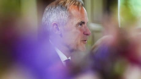 Iran ceasefire an ‘opportunity’ for Gaza peace, Palestinian state: Carney
