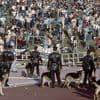 Football : il y a 40 ans, le drame du Heysel faisait 39 morts en marge de la finale de la Coupe des clubs champions entre la Juventus et Liverpool
