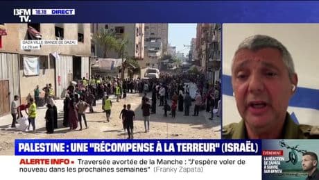 "Il n'y a pas de famine à Gaza", estime Olivier Rafowicz, porte-parole de l'armée israélienne