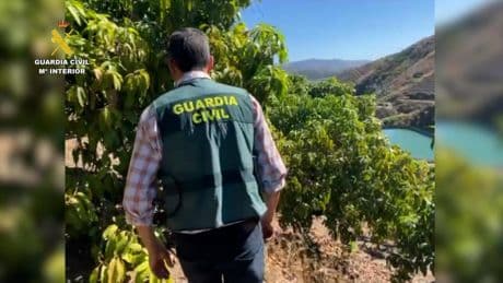 Pozos ilegales, cisternas clandestinas y 12 millones de litros robados: así operaba la red de agua en Málaga