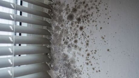 Woman shares five ways black mould affected her health – and what to do about it