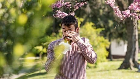 Met Office pollen bomb alert as hay fever suffers warned of 'very high' levels