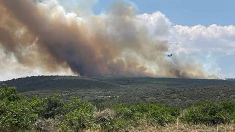 Brände am Grand Canyon: Behörde ordnet Evakuierung an