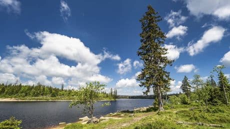 Braunschweig Ferien-Tipp: Oderteich (Harz) – Wandern im Sonnenschein