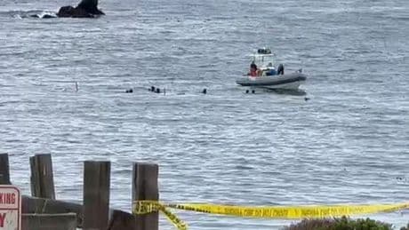 California plane crash: Three dead after plane crash sparks multi-agency search