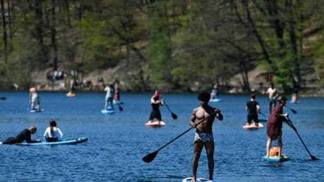 Wie Schlachtensee und Krumme Lanke für 200 Jahre schön bleiben