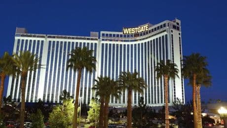 Klub-WM im Handball - US-Team qualifizierte sich in Las Vegas – im Casino!