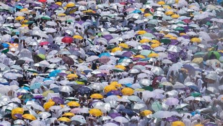 Saudi Arabia stops 269,678 Muslims without Hajj permits from entering Mecca