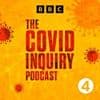 The Covid Inquiry Podcast: 'I wasn't the decision maker'