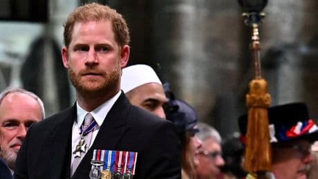 Prince Harry denies claim ‘punches thrown’ in heated argument with Prince Andrew