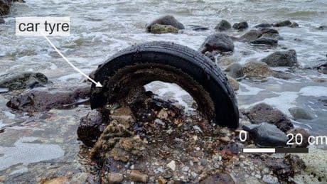 Humanity’s Trash Is Turning To Rock