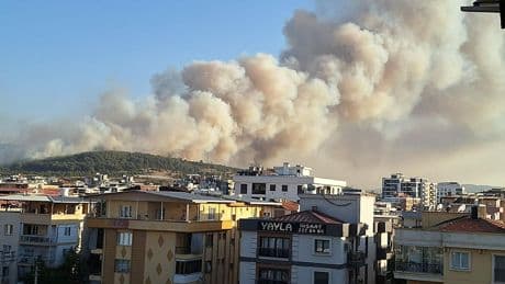 İzmir'de korkutan görüntü: Ormanlar alev alev yanıyor
