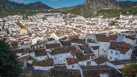 Muere un hombre corneado por un toro en las fiestas de Ubrique