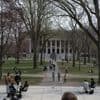 Harvard, Brown, Yale... Des dizaines d'universités américaines dénoncent l'"interférence politique" du gouvernement de Donald Trump