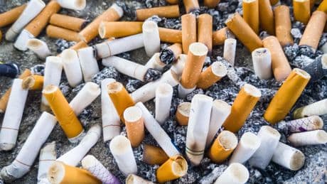 Lutte contre les mégots : 5 chiffres saisissants qui montrent combien la cigarette pollue