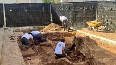 Encuentran los restos de 73 personas asesinadas en la Guerra Civil en una fosa común en Campillos