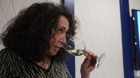 Siete botellas de Txakoli que hay que probar