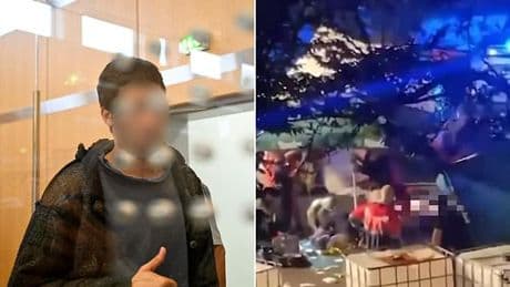 Syrian ISIS fanatic who murdered three people at German 'Festival of Diversity' is jailed for life