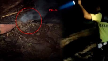 Son Dakika... Bursa'da ormanı yakmaya çalışan şüpheli kaçtı!