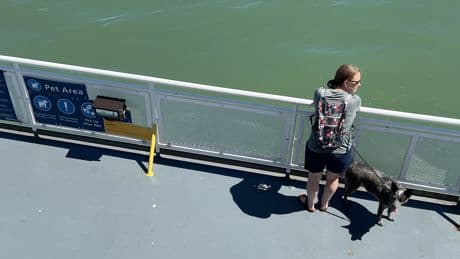 Could passenger-only vessels be part of BC Ferries’ future?