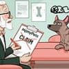 My dog has anxiety and his treatment costs hundreds of pounds. Now my insurer is refusing to pay... what can I do? SALLY SORTS IT