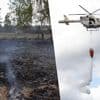 Grote brand Mechelse Heide is aangestoken: parket bevestigt kwaad opzet