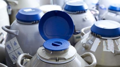 The Unexpected Grief of Discarding Your Frozen Eggs