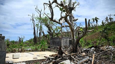 Mayotte: un ambitieux projet de loi à l'Assemblée nationale, visant à réduire les inégalités sociales