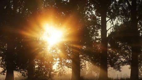 Wetterbericht: Hitzewellchen im Südwesten: Wo wird 30-Grad-Marke geknackt?