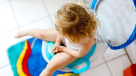 Weg mit der Windel!: Toilettensitze für Kinder: Diese Tools helfen beim Trockenwerden
