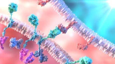 Car-T italiane aprono la strada a cure standard per il neuroblastoma