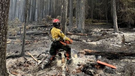 Northern Alberta community likely lost water treatment plant, church and homes to wildfire: reeve
