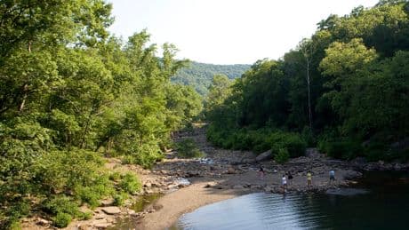 Manhunt Underway in Arkansas After Couple Is Killed in State Park