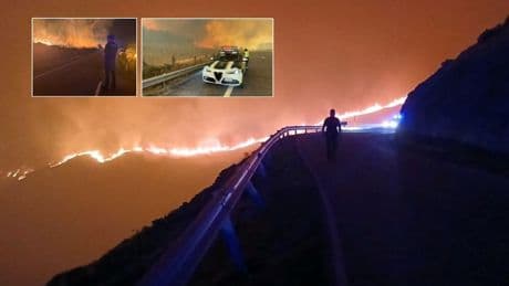 İspanya'da 14 farklı noktada orman yangını: 7 ölü