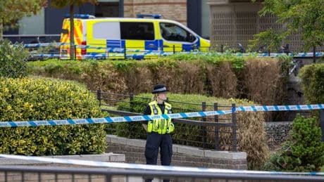 Student, 20, killed in Cambridge as witnesses describe ‘screaming’ with two arrested
