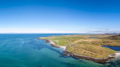 Auf schottischer Insel - Tourist entdeckt ausgestorbene Qualle