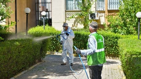 Esenyurt Belediyesi’nden ağaçlara teke böceği kalkanı