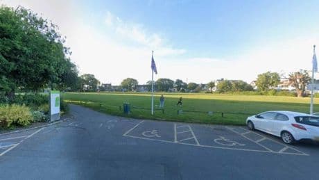 Five children taken to hospital after tree falls in park in ‘serious incident’