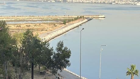 Ege Denizi'nde 6 büyüklüğündeki deprem sonrası uzmanlardan ilk açıklama