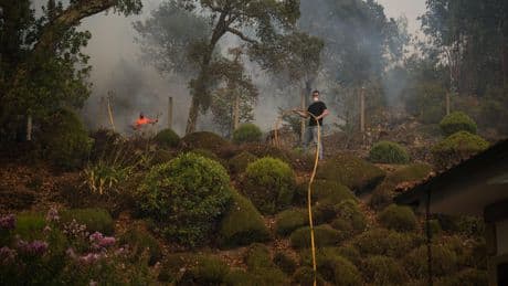 Le Portugal en alerte au risque d'incendies à partir de dimanche