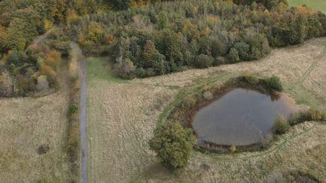 Gericht fällt Urteil - Killerin verbrannte ihre Opfer am See