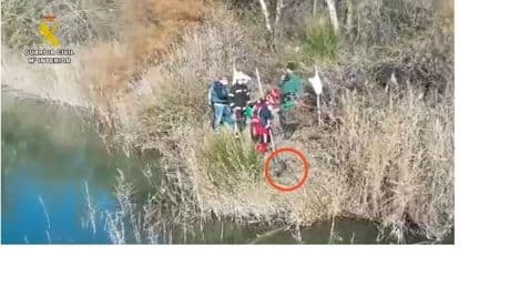 Un detenido y un investigado tras aparecer ahogado un perro atado y sujeto a bloques de hormigón en Arganda