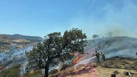 Çanakkale’de korkutan yangın! Havadan ve karadan müdahale başladı