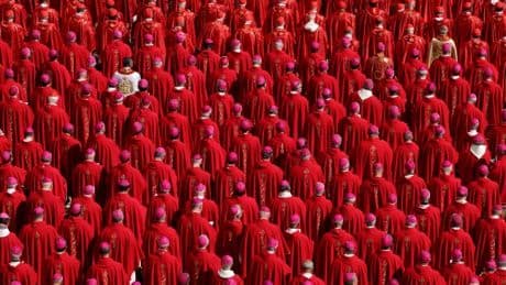 All 133 cardinals are ‘rawdogging’ during conclave