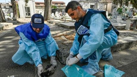 West Nile, quarta vittima nel Lazio: è una 93enne di Cisterna di Latina. Era ricoverata allo Spallanzani di Roma