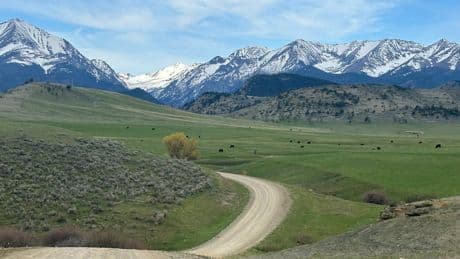 National Guard helicopter crew landed on Montana ranch and trespassed to take antlers, citations say