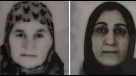 Mehmet Çakmakcı, adlı erkek yengelerini köy yolunu bahane ederek öldürdü